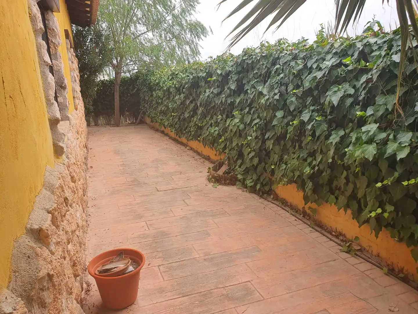 Maison rustique avec piscine à vendre à Pedanías Oeste, imagen 6