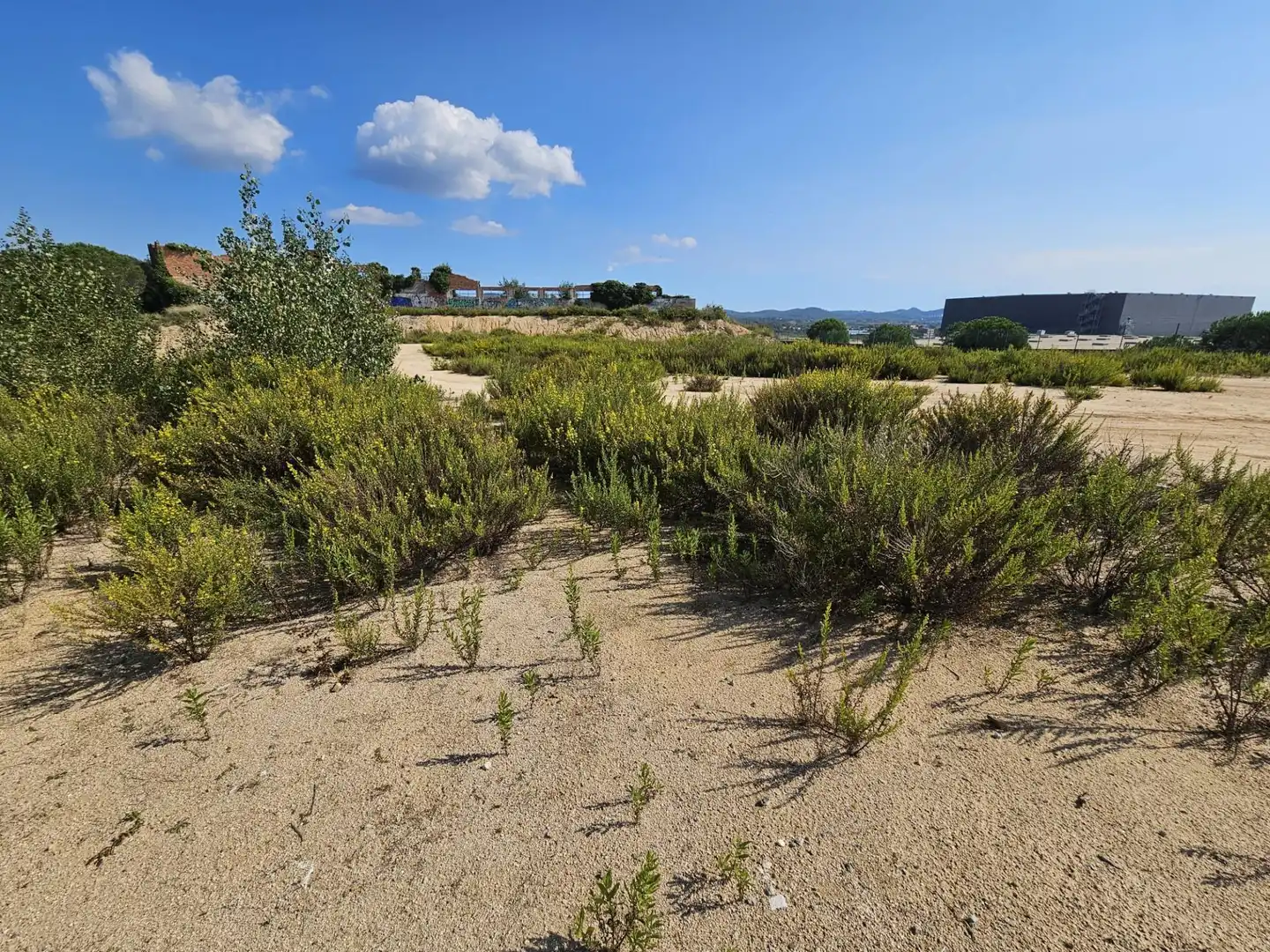 Terrenos y solares en venta en Palafolls, imagen 11