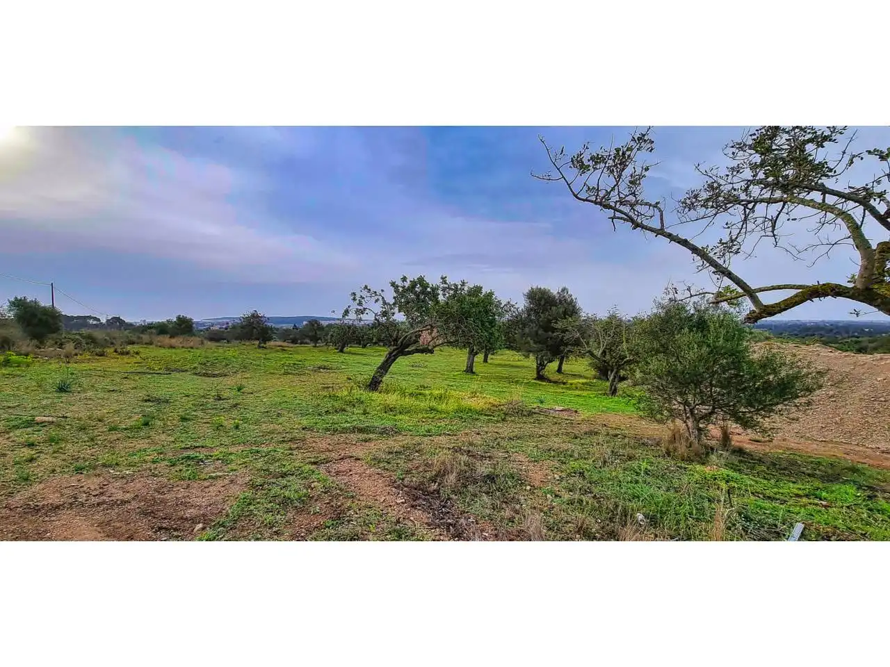Landhaus mit Pool zum Verkauf in Poligono 4 608, imagen 8
