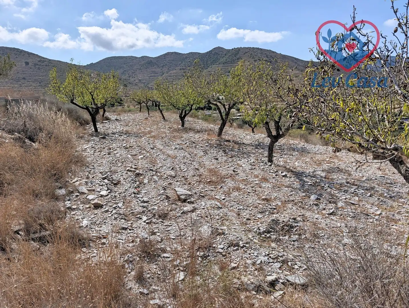 Terreno rustico in vendita a Playa del Galán, imagen 24