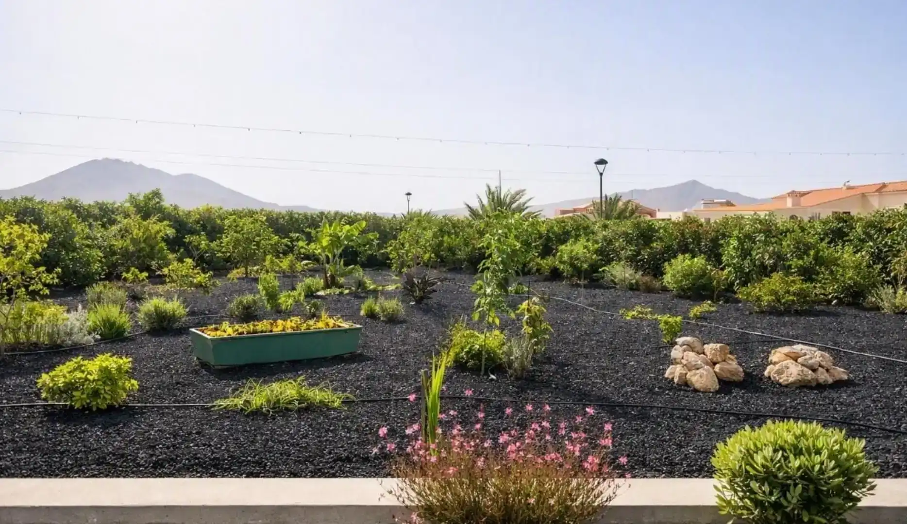 Jardí de Casa o xalet en venda en Antigua