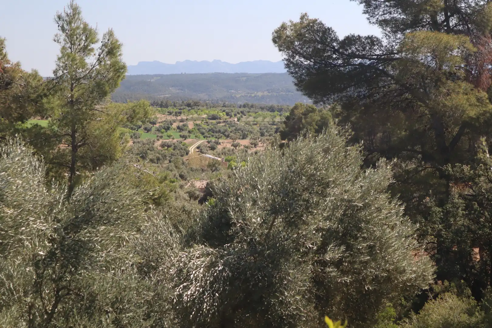 Terreni e lotti in vendita a La Fresneda, imagen 29