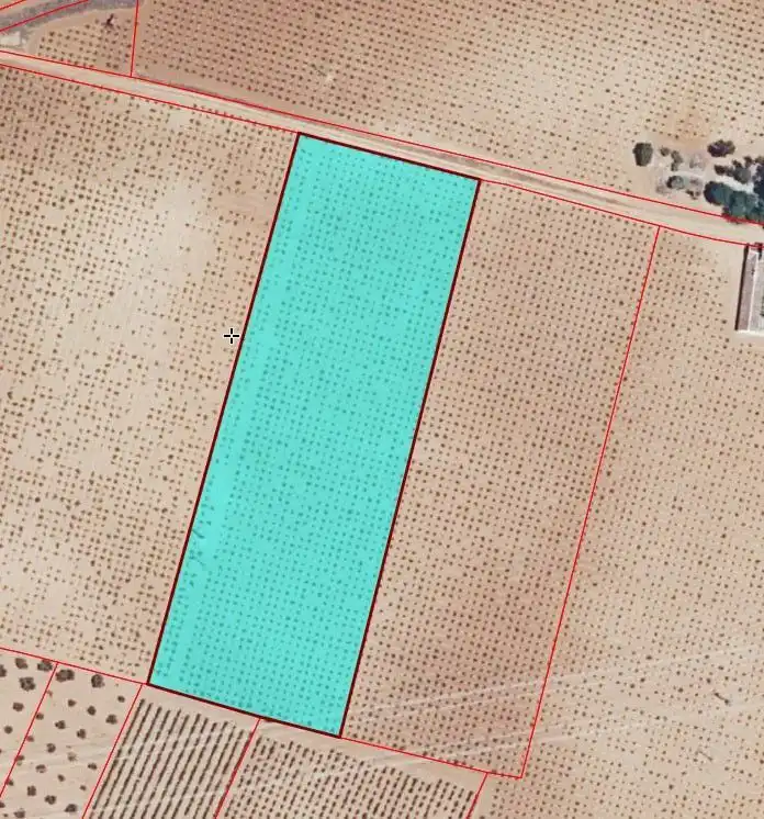 Lands and plots for sale in Valdepeñas, imagen 12