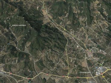 Terreny rústic en venda a Arbolí