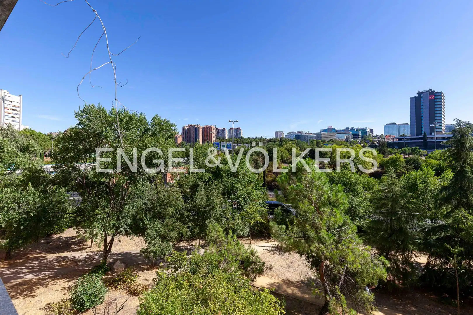 Flat for rent in Barrio de Salamanca