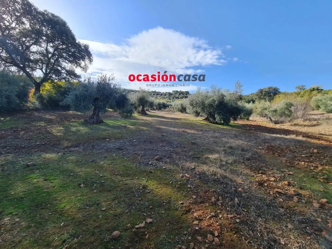 Casa rústica amb jardí en venda a Villanueva del Rey, imagen 6