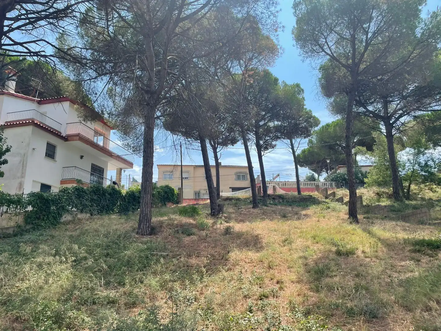 Terreno residencial en venta en Mas Mora - Sant Daniel, imagen 9
