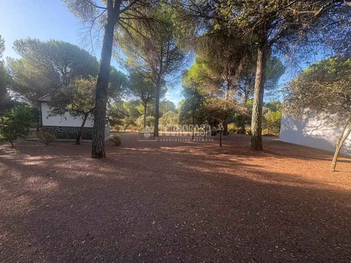 Casa rústica amb jardí en venda a Andújar, imagen 9