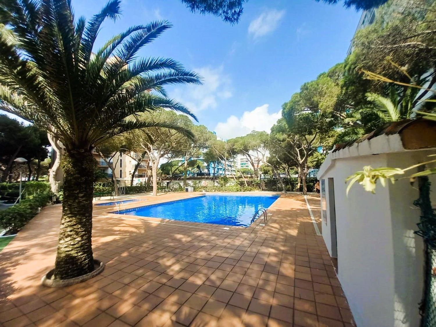 Piscina de Estudi en venda en Blanes