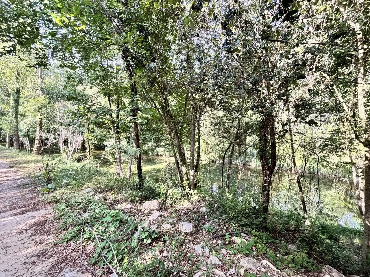Terreno en venta en Carrer de Jaume I, Albanyà
