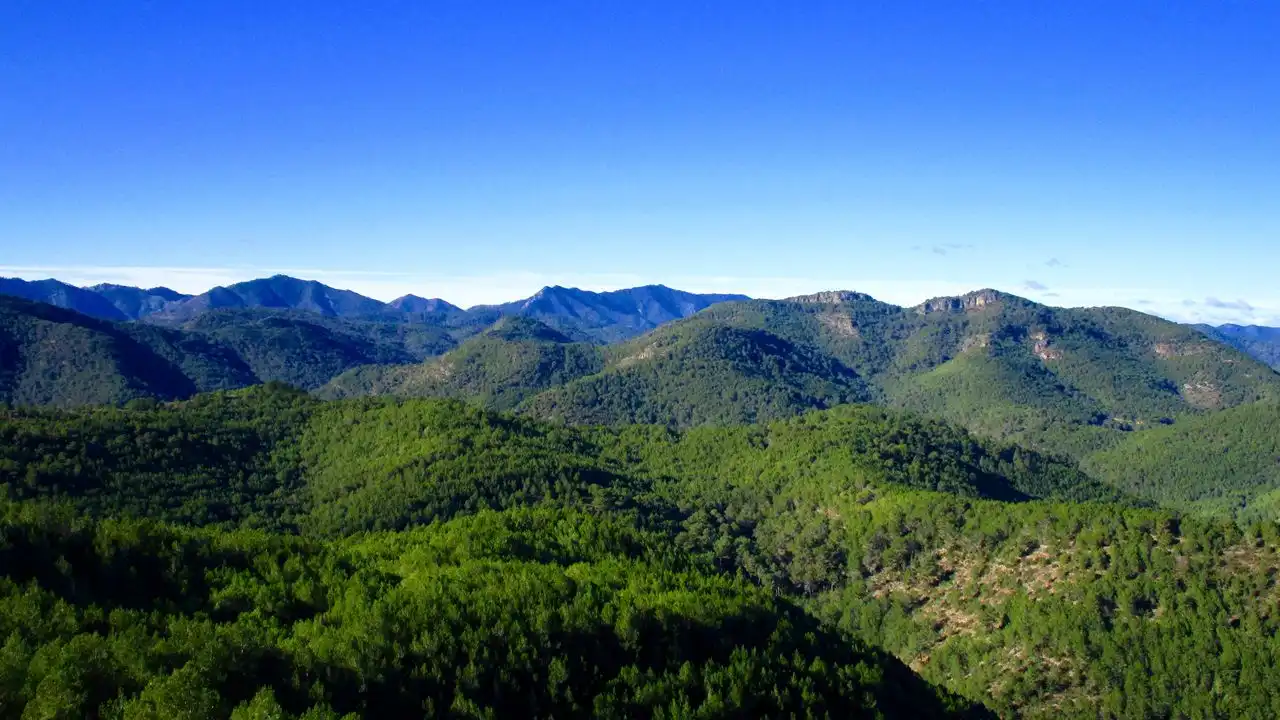 Vista exterior de Finca rústica en venda en Alcudia de Veo amb Terrassa