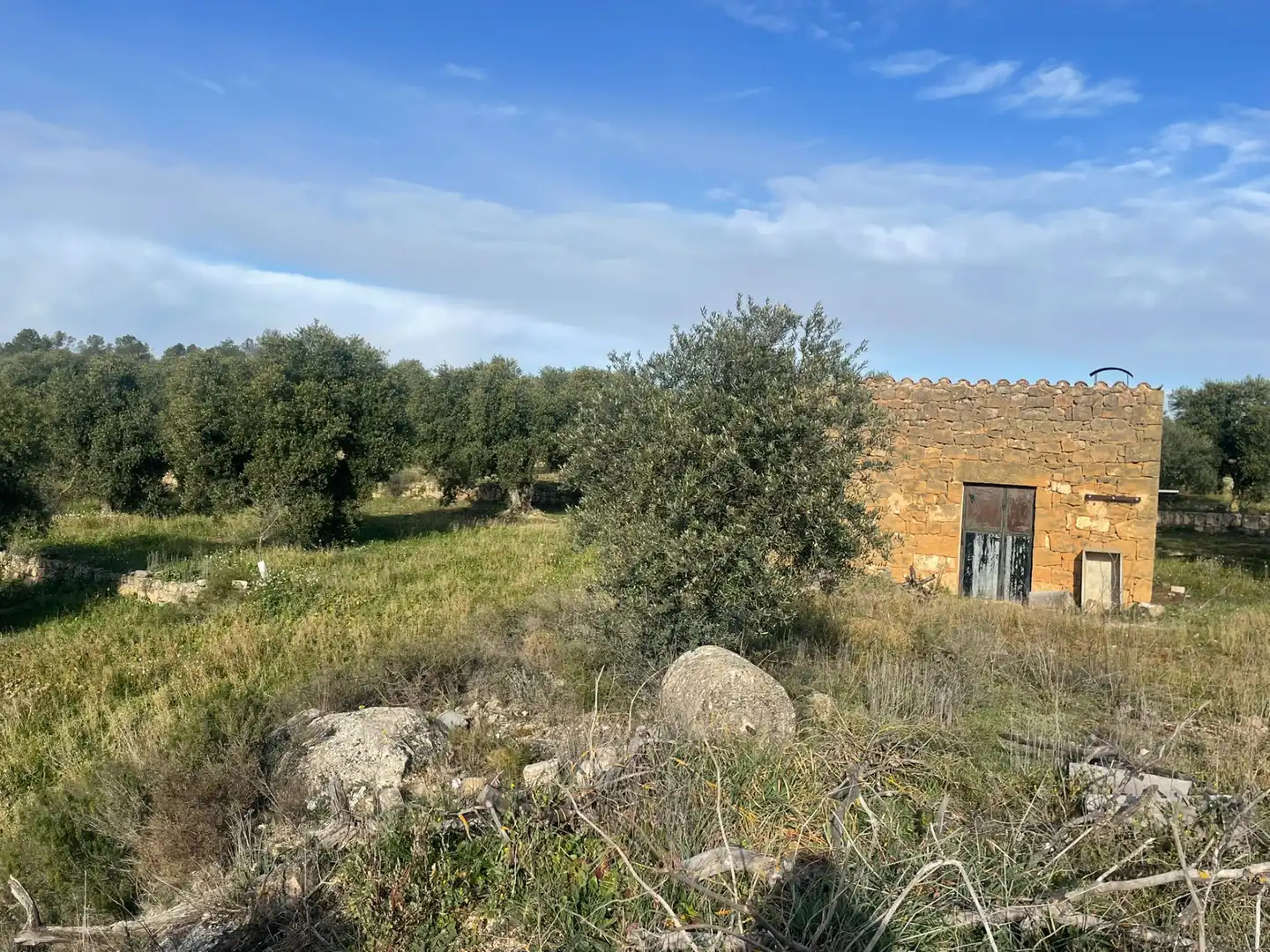 Rural land for sale in Cervià de Les Garrigues, imagen 12
