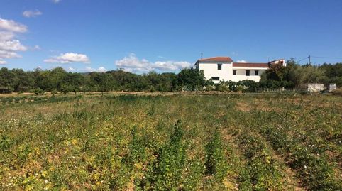 MASIA DEL 1960 CON 39000M2 DE TERRENO AGRICOLA AL LADO DEL MAR DE SANT SALVADOR