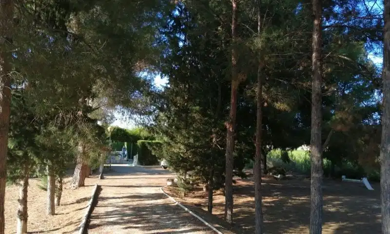 Finca rústica en venta en Cieza