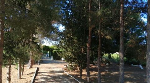 Foto 3 de Finca rústica en venta en Cieza, Murcia