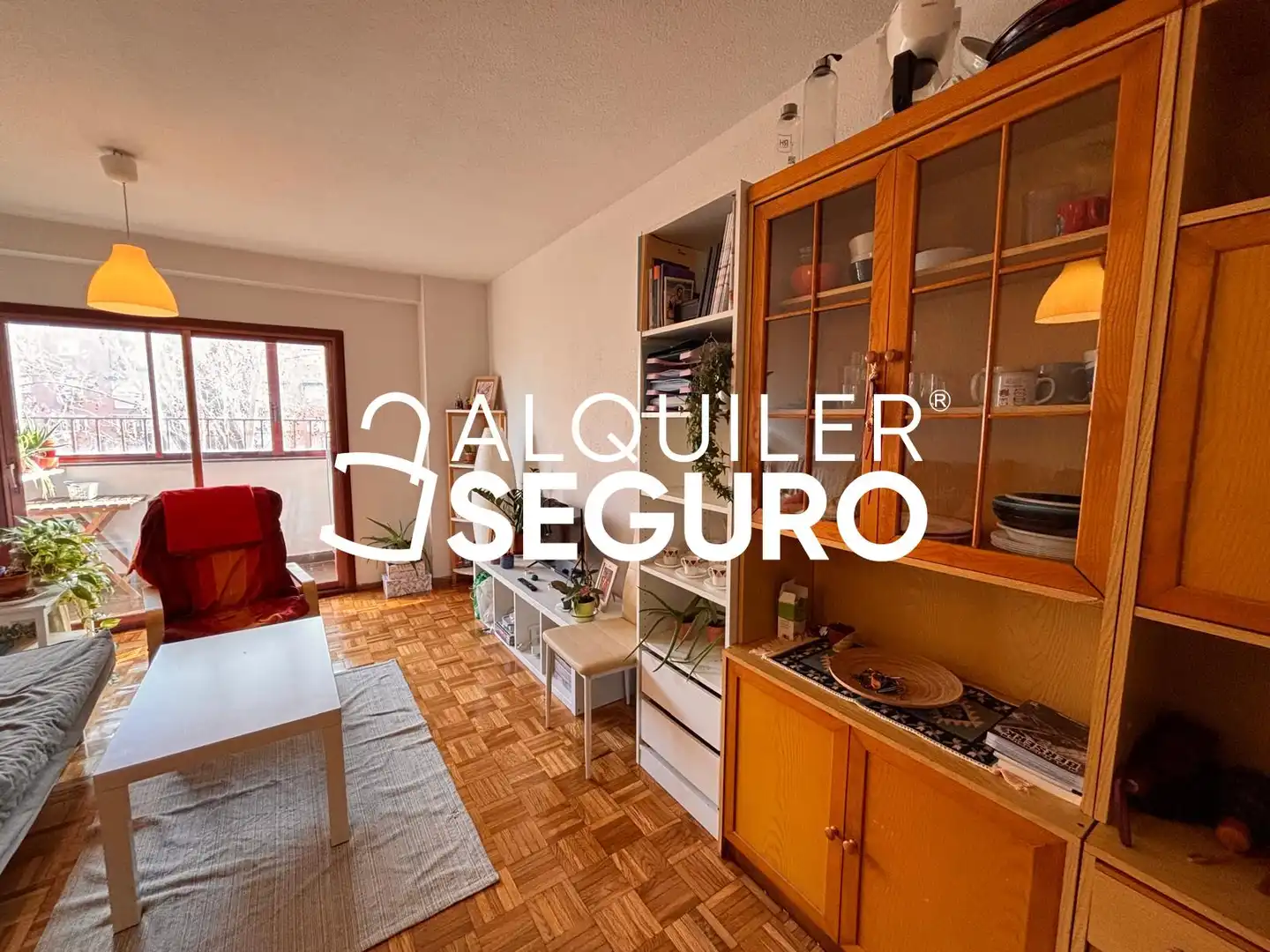 Sala d'estar de Pis de lloguer en Madrid amb Calefacció i Moblat