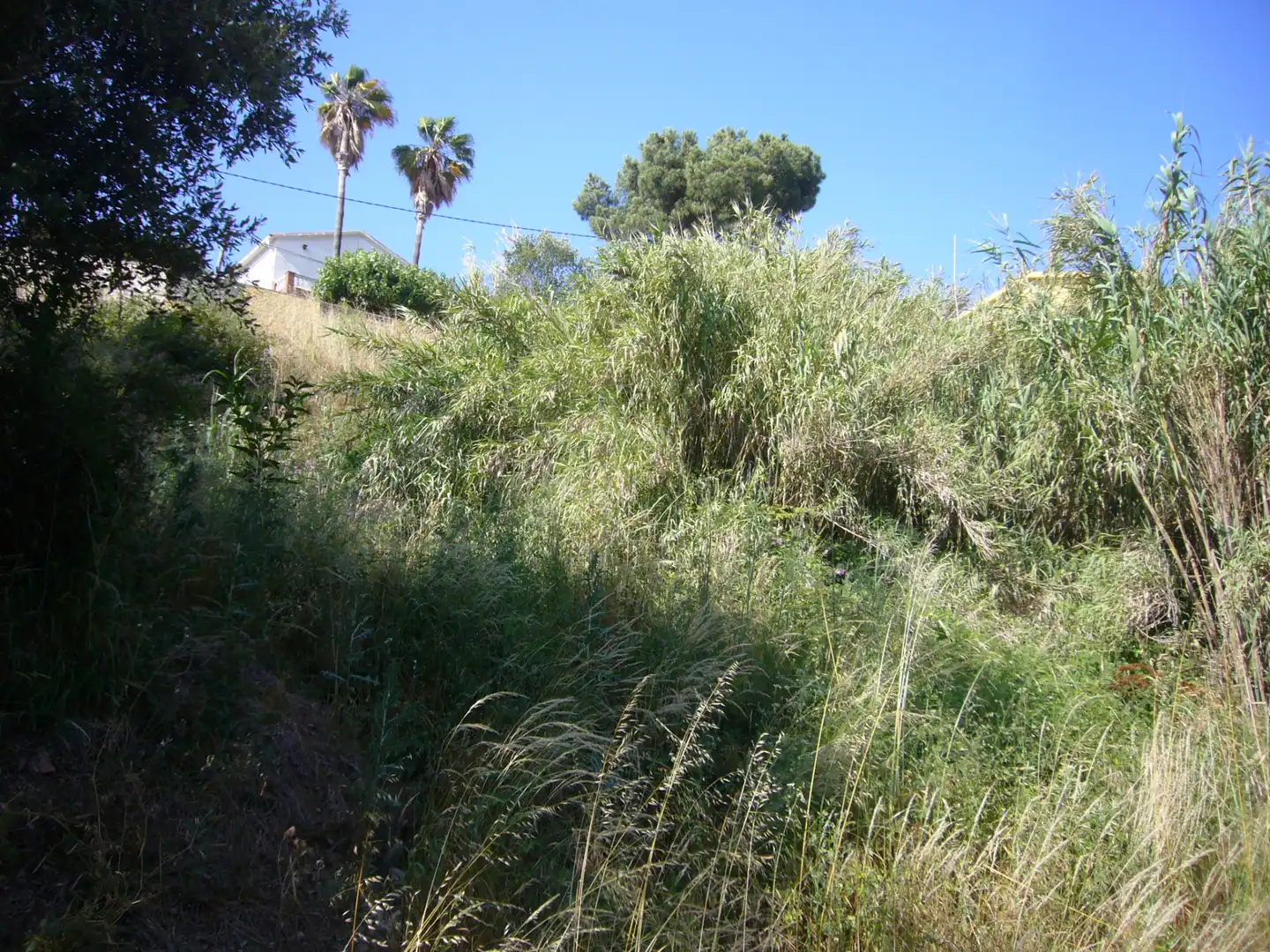 Residential land for sale in Avinguda dels Arbres, imagen 2
