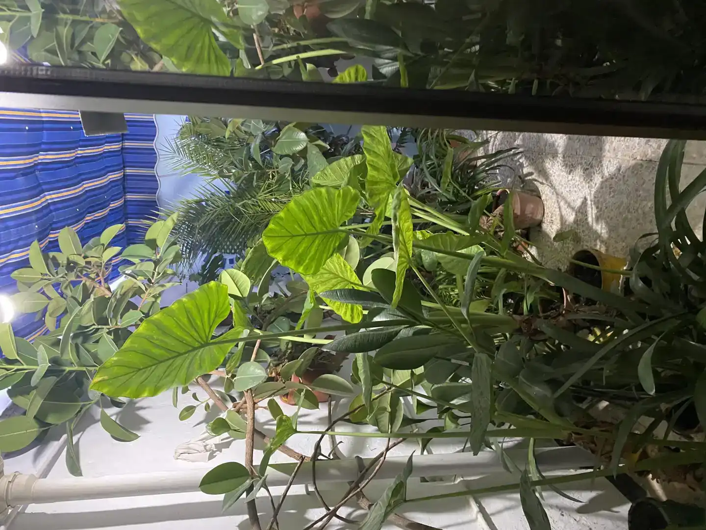 Terrassa de Planta baixa en venda en Puente Genil