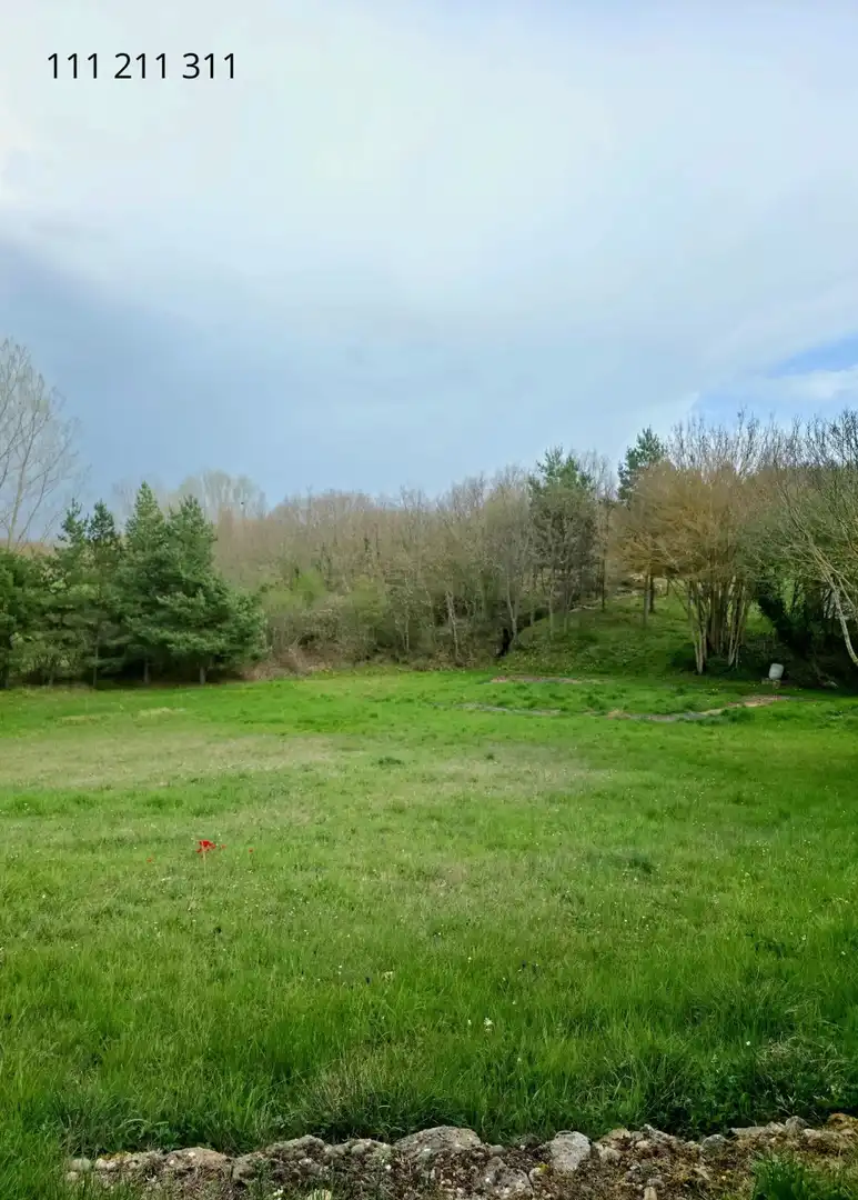 Casa o xalet en venda en Pomar de Valdivia amb Calefacció, Jardí privat i Terrassa