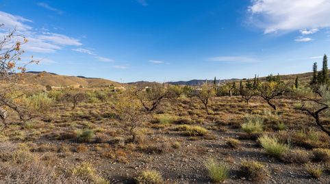 Foto 5 von Grundstücke zum Verkauf in de Velefique a Senés, Senés, Almería