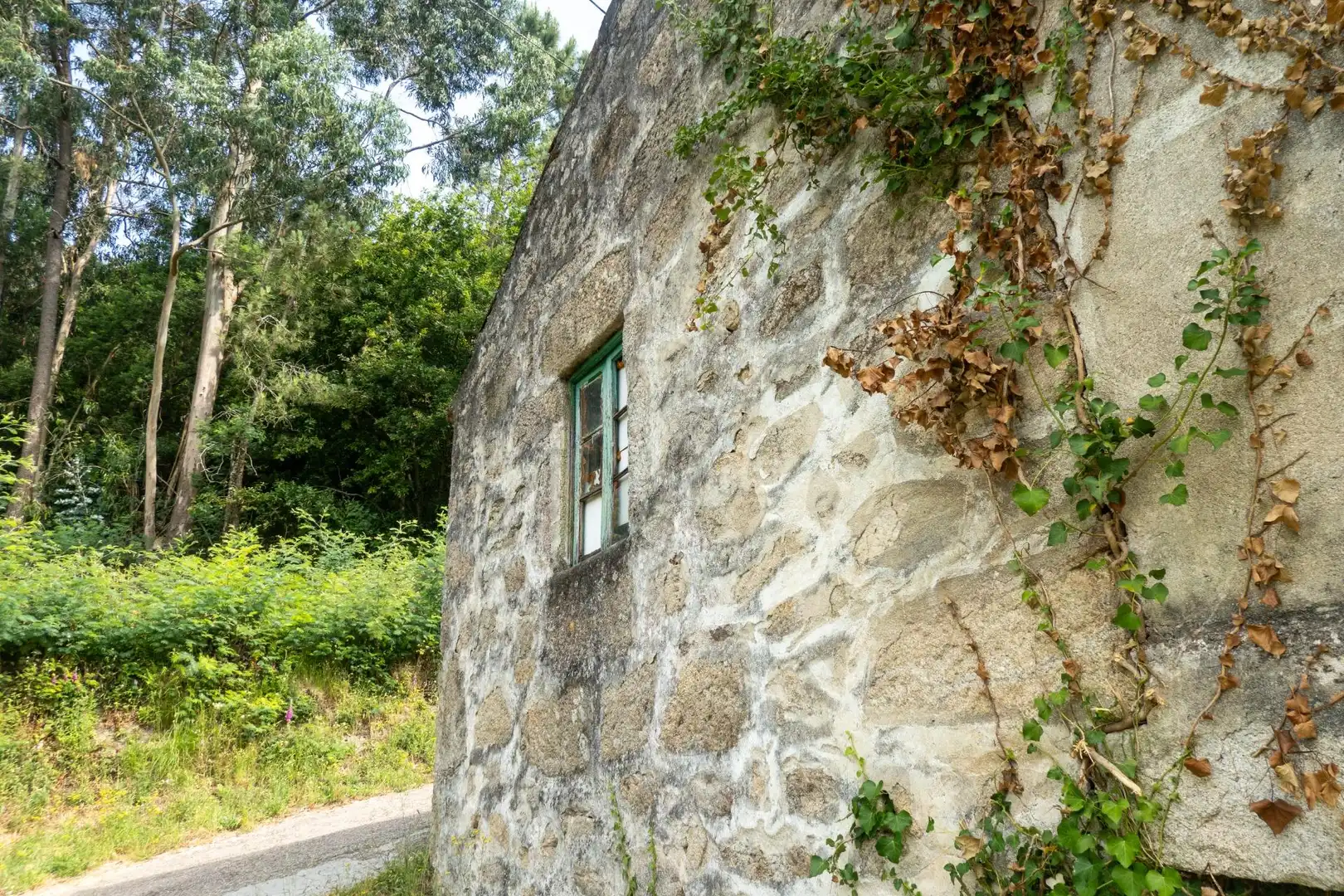 Vista exterior de Finca rústica en venda en Arbo amb Jardí privat