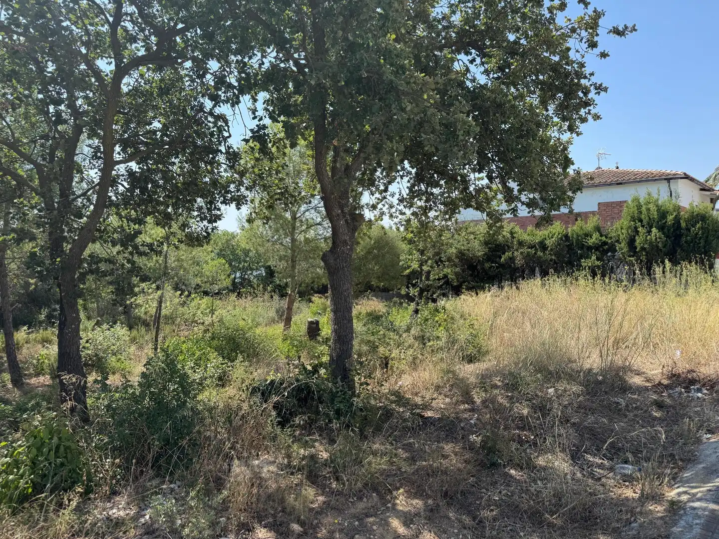 Residential for sale in DE L'EUCALIPTUS, 40, Nord