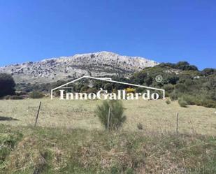 Land for sale in Alfarnatejo