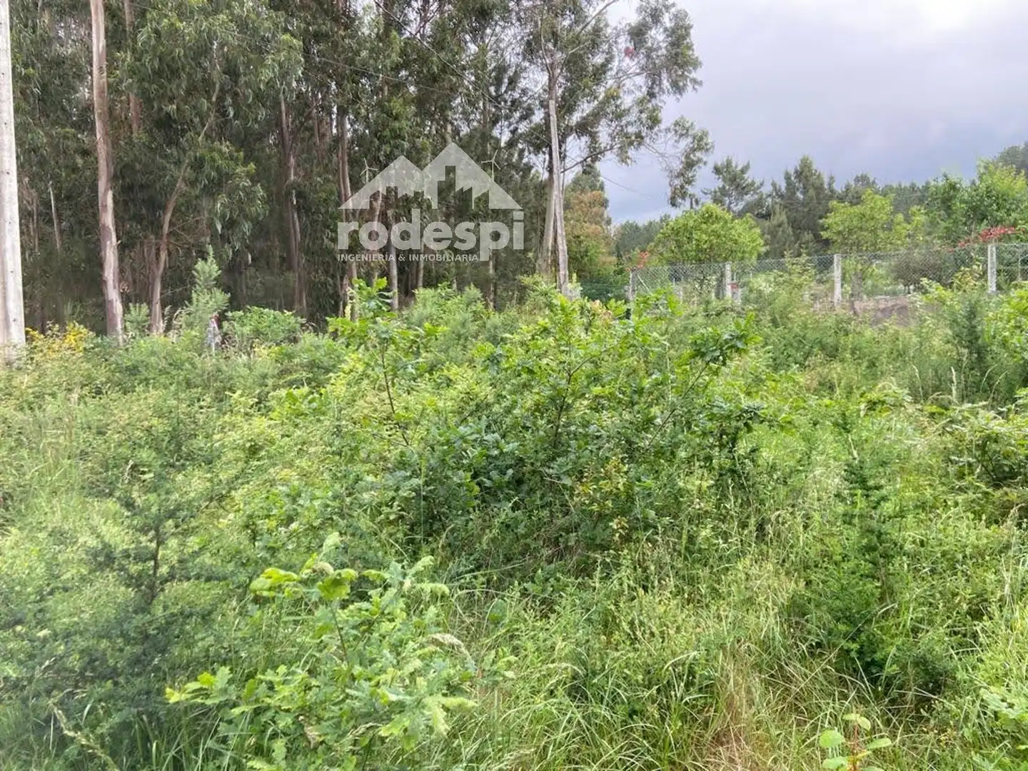 Rural land for sale in Covelo, imagen 15