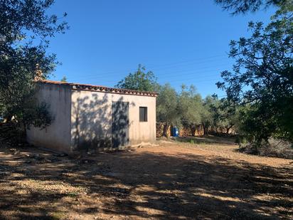 Finca rústica en venda a Partida Coll, Grau - Quintanes