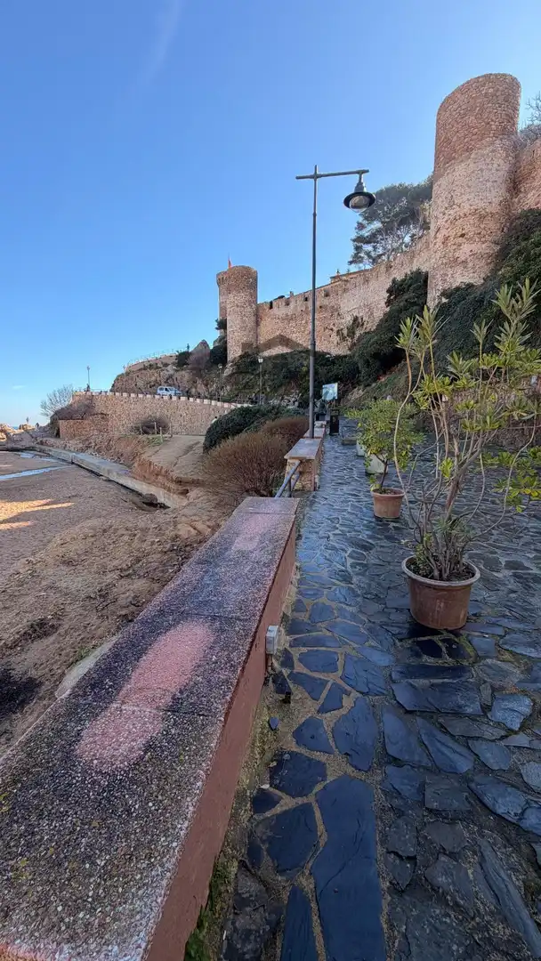 Vista exterior de Finca rústica en venda en Tossa de Mar amb Calefacció i Terrassa
