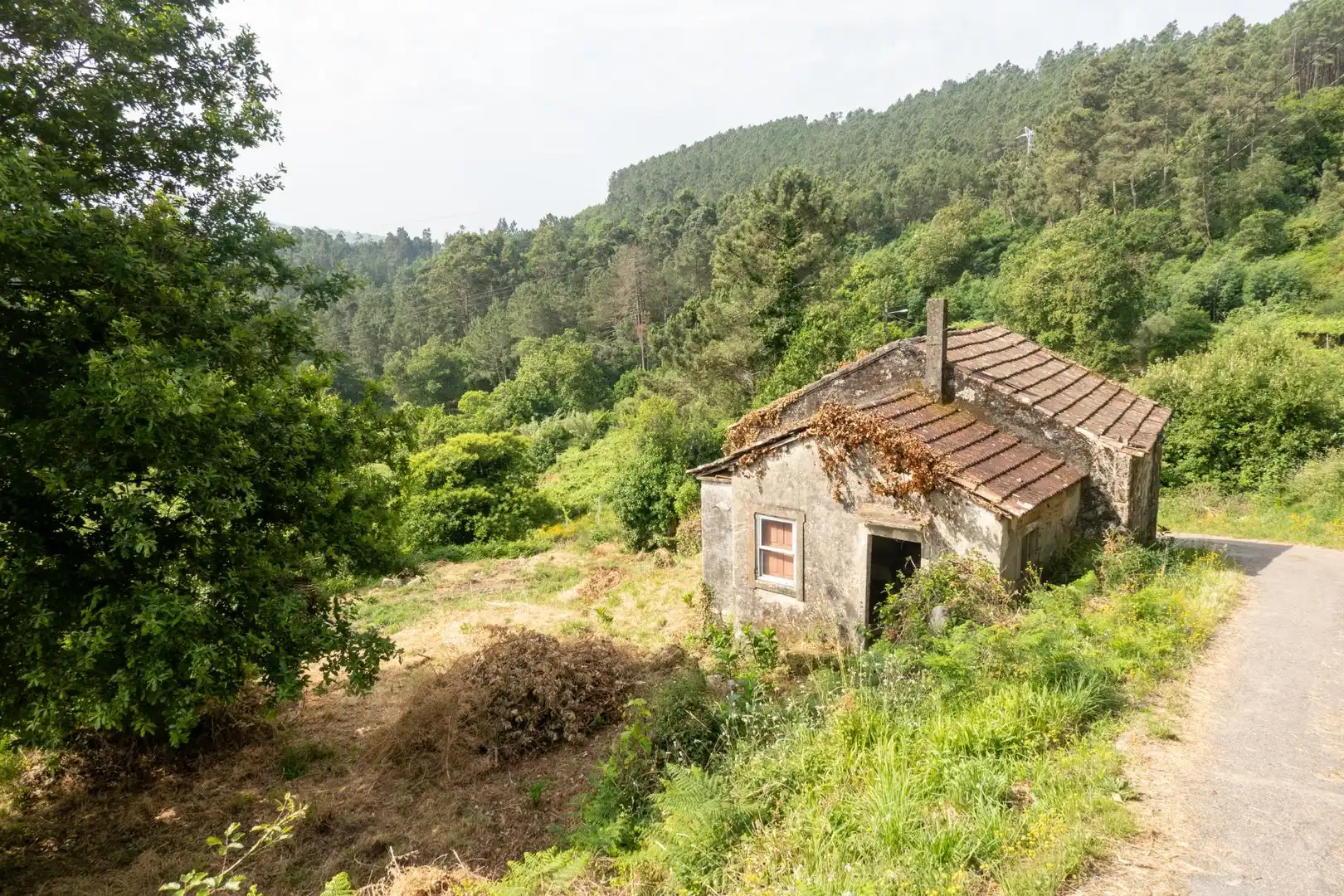 Vista exterior de Finca rústica en venda en Arbo amb Jardí privat