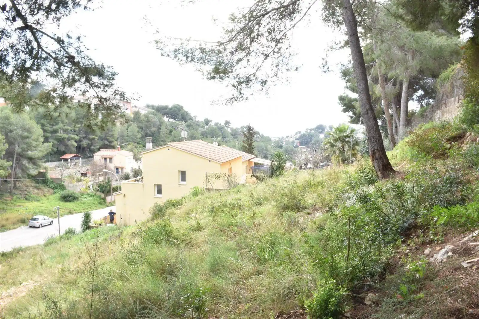 Rural land for sale in GLADIOL, imagen 9