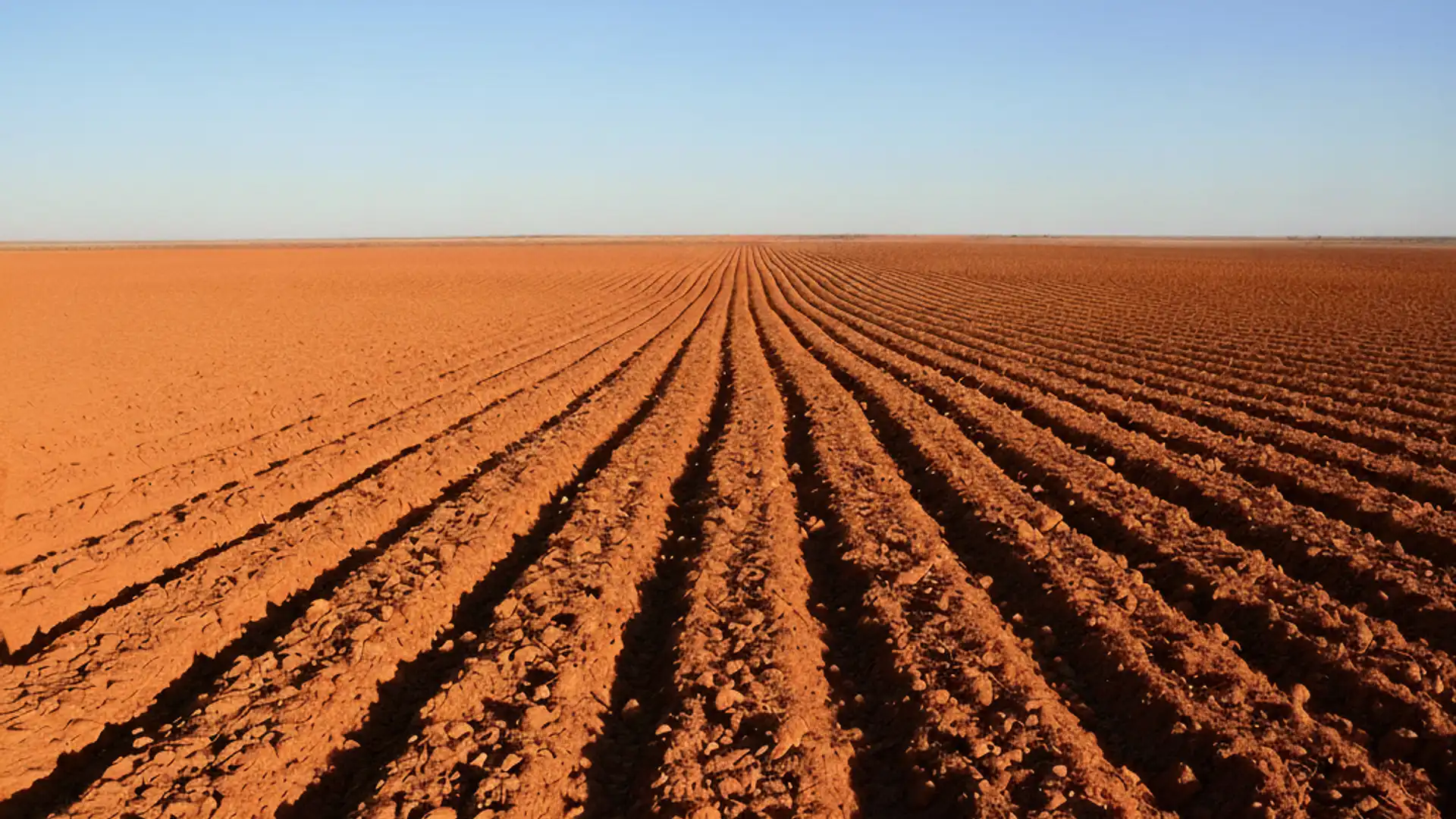 Terreno en venta en El Ejido