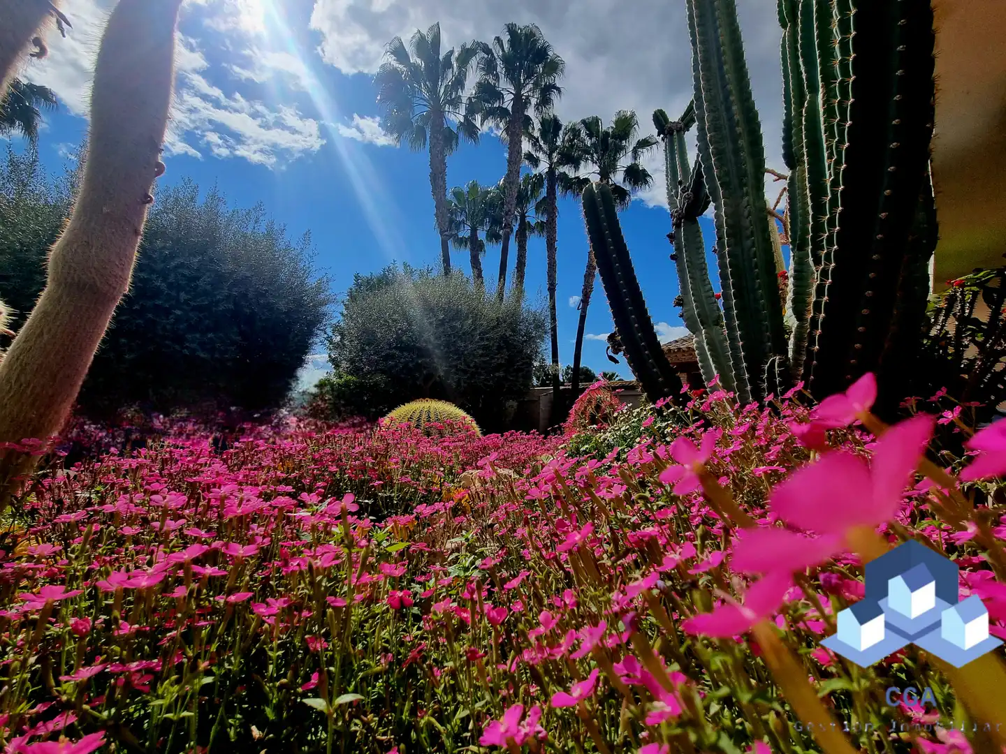 Jardí de Casa o xalet en venda en Lorca amb Aire condicionat, Calefacció i Jardí privat