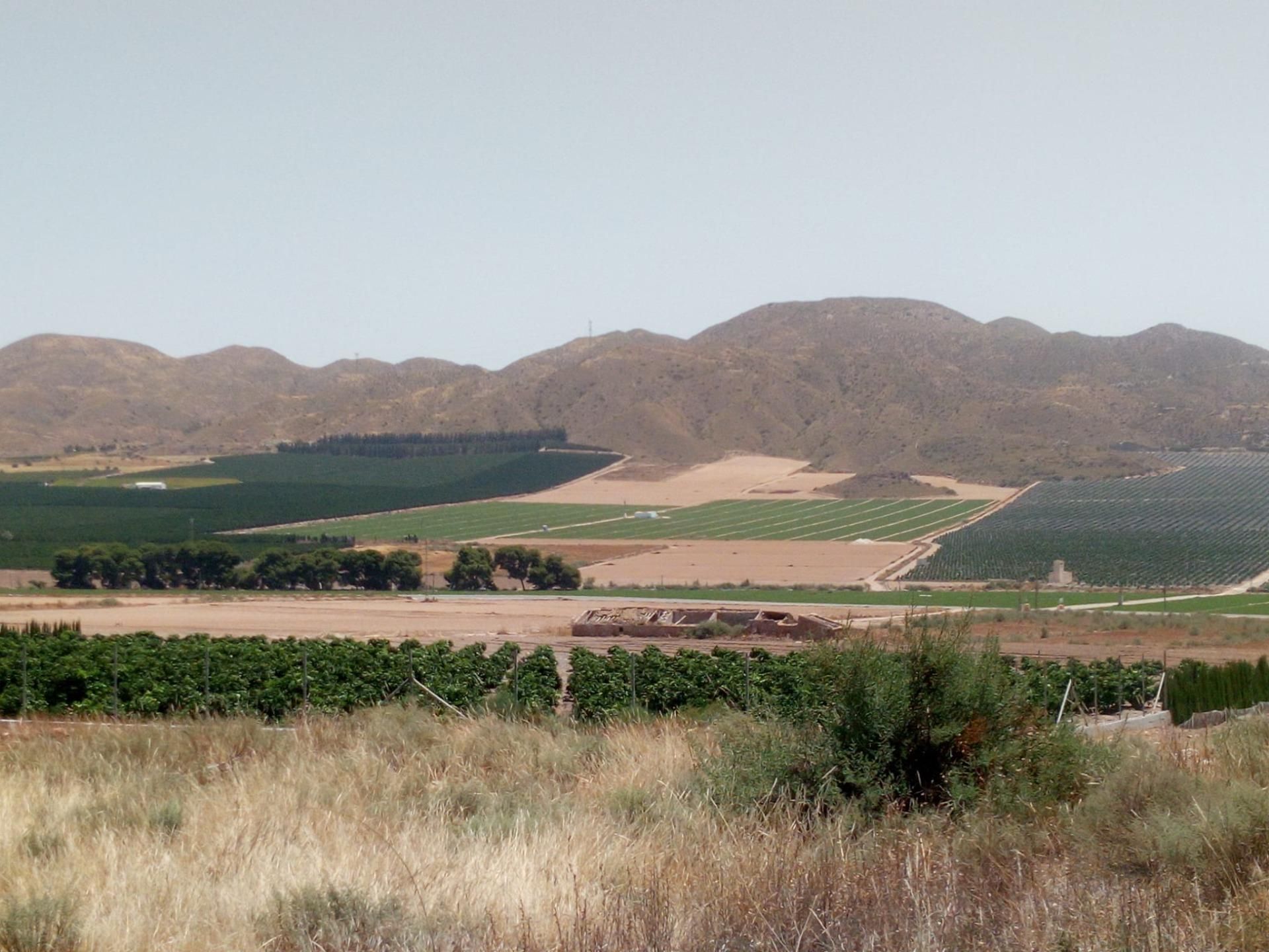 Land for sale in Almendricos