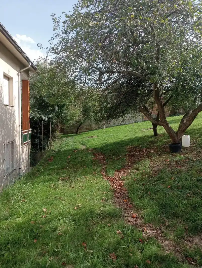 Casa o xalet en venda en Laviana amb Balcó