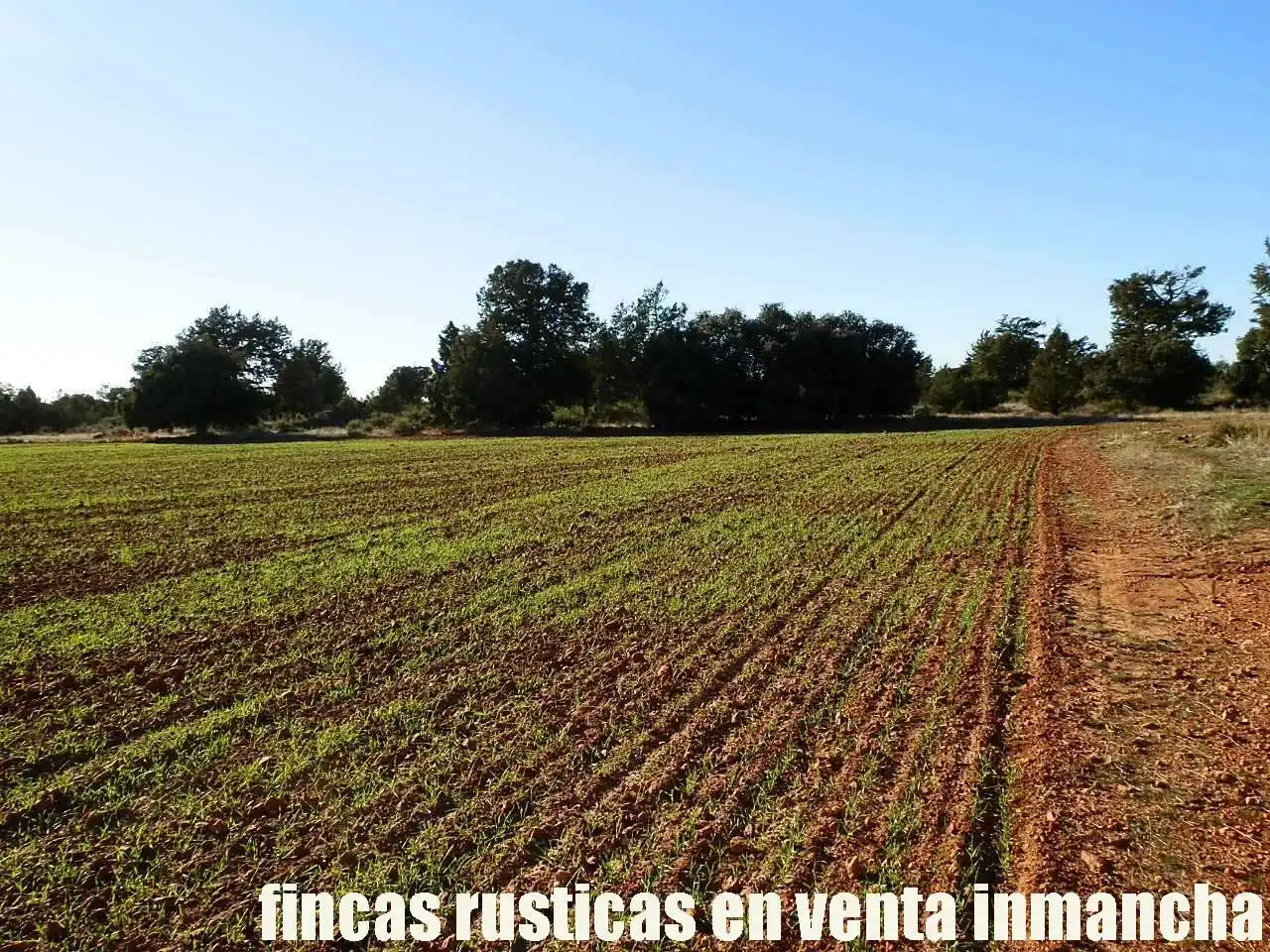 Lands and plots for sale in Ossa de Montiel, imagen 8