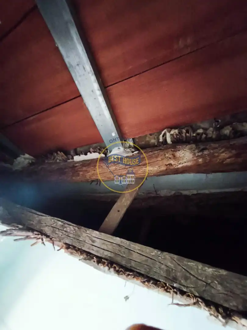 Casa o xalet en venda en Albaida amb Terrassa