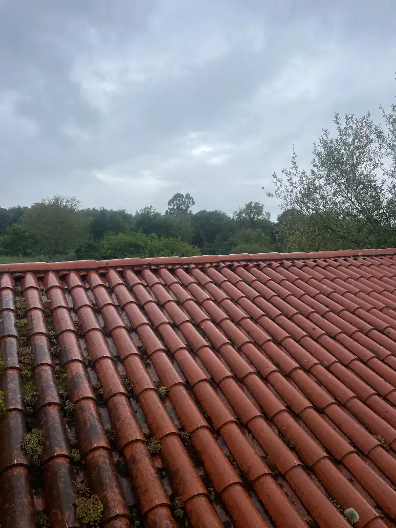 Vista exterior de Casa o chalet en venta en Allariz con Calefacción, Jardín privado y Amueblado