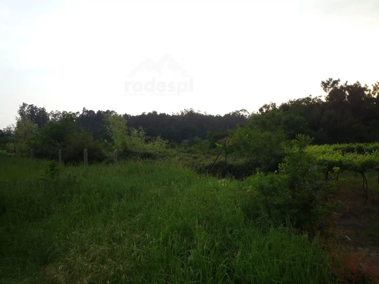 Terrenys i solars en venda a Ponteareas, imagen 2