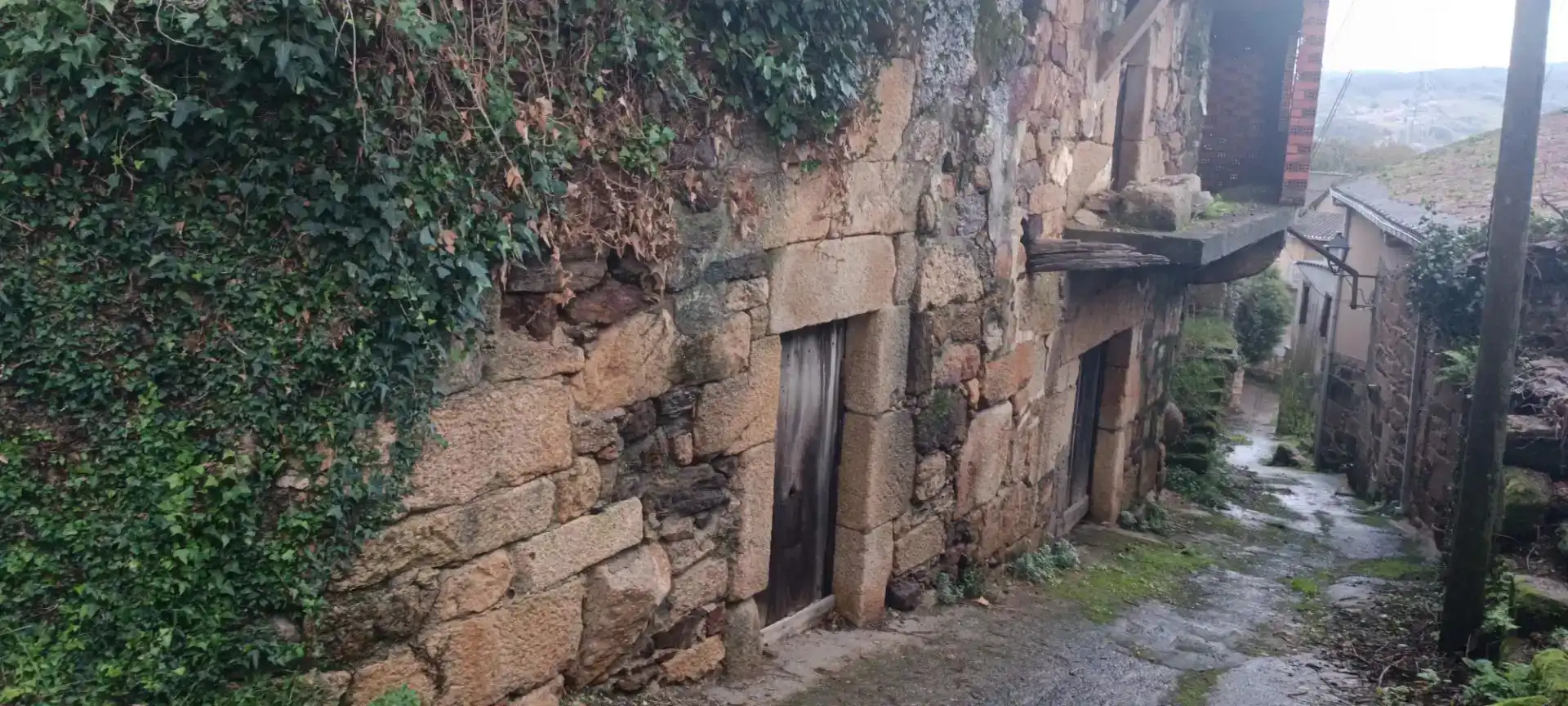 Vista exterior de Planta baixa en venda en Ribadavia amb Jardí privat i Balcó