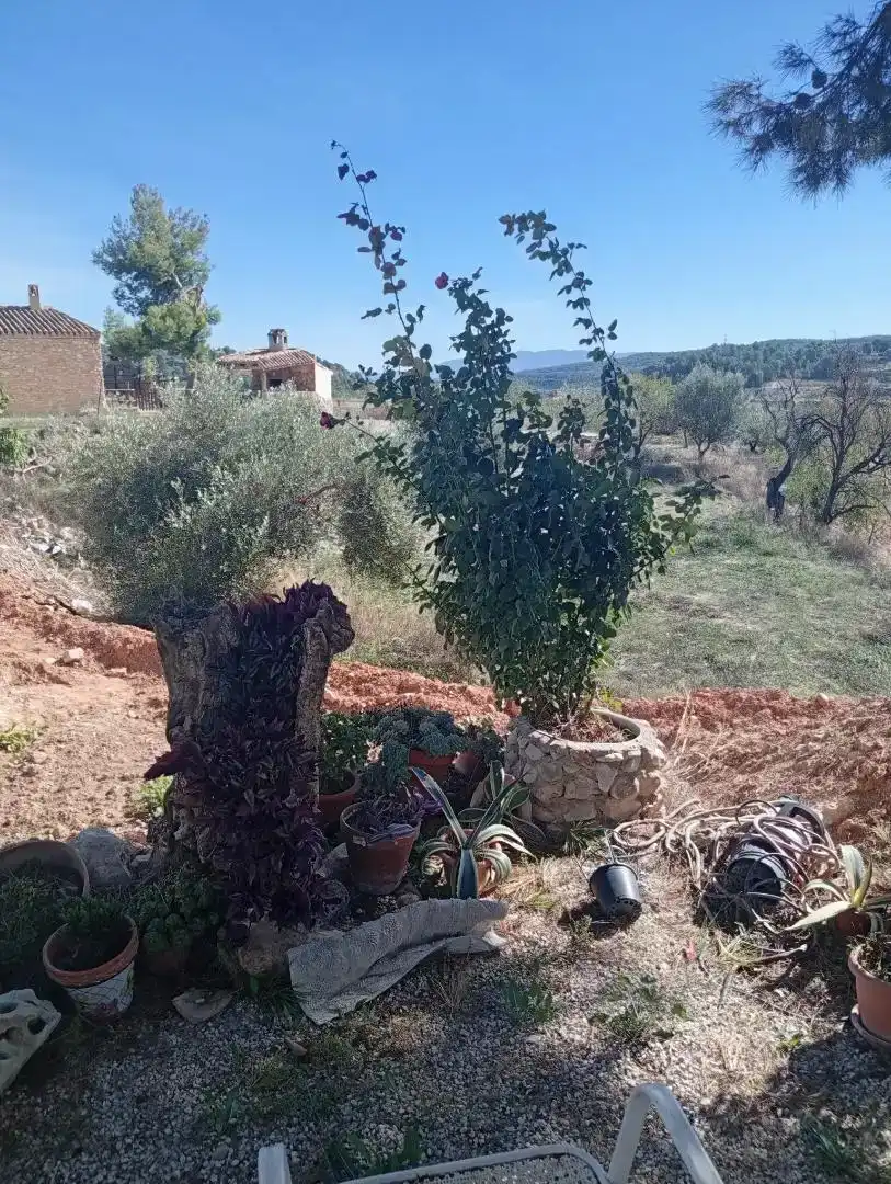 Casa o xalet en venda en Alhama de Murcia