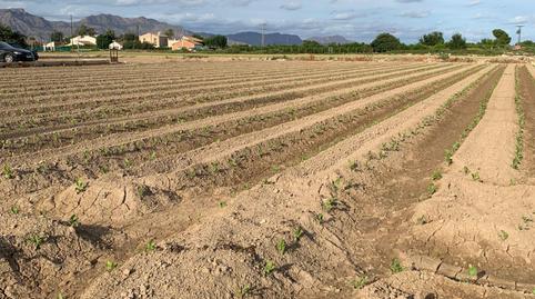 Foto 2 de Terreno en venta en Santa Cruz, Murcia