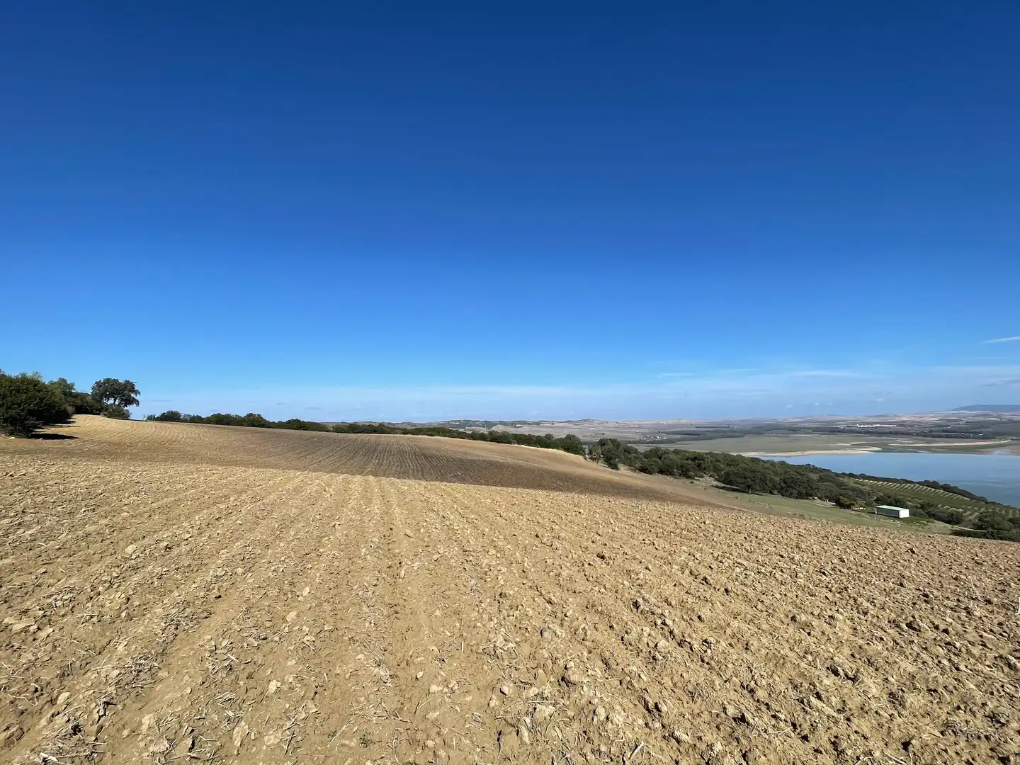 Terreno rustico in vendita a Arcos de la Frontera, imagen 13