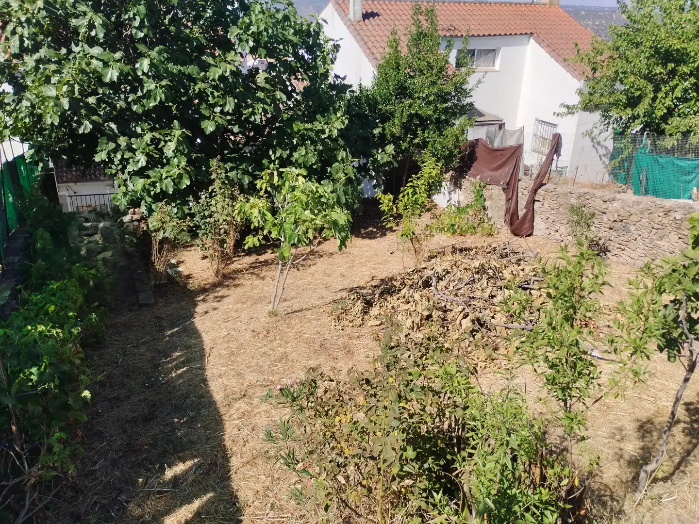 Haus mit Garten zum Verkauf in Jerez de los Caballeros, imagen 2