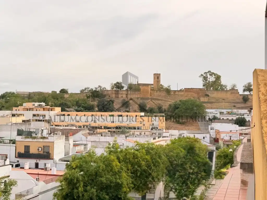 Àtic amb ascensor en venda a Centro, imagen 58