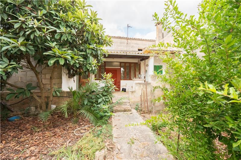 Vista exterior de Casa o xalet en venda en Petra amb Jardí privat i Terrassa