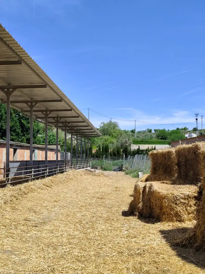 Außenansicht von Grundstücke zum Verkauf in Juneda
