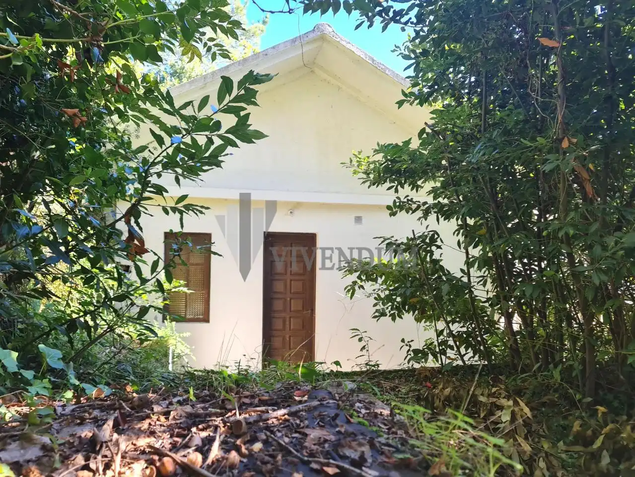 Vista exterior de Casa o chalet en venta en Redondela con Jardín privado, Trastero y Piscina
