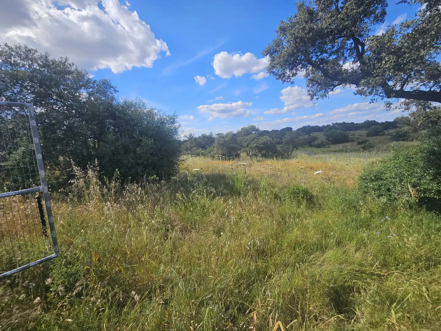 Terreny residencial en venda a Sanlúcar la Mayor